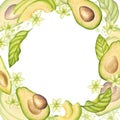 Avocado round frame. Fruit half with seed core, sliced pieces, green leaves, flowers. Botanical vegetable clipart. Hand