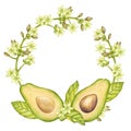 Avocado round wreath frame. Fruit half with seed core, green leaves, flowers. Botanical vegetable clipart. Vegan dietary