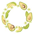 Avocado round wreath frame. Fruit half with seed core, sliced pieces, green leaves, flowers. Botanical vegetable clipart