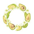 Avocado round wreath frame. Fruit half with seed core, sliced pieces, green leaves, flowers, splash. Botanical vegetable