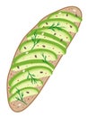 Avocado on rustic bread. Delicious avocado sandwich. Vector illustration. Royalty Free Stock Photo