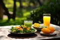 avocado salad served with a glass of fresh orange juice on an outdoor picnic table Royalty Free Stock Photo