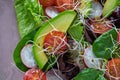 Avocado salad with sprouts tomatoes spinach