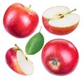 Set of ripe red apples and apple slices. Royalty Free Stock Photo