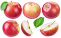 Set of ripe red apples and apple slices. Royalty Free Stock Photo