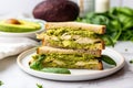avocado sandwich with grilled chicken and pesto spread