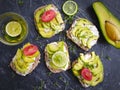 Avocado sandwich dinner tomat vegetarian on concrete background homemade