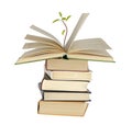 Avocado sapling growing from book