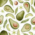 Avocado seamless Pattern. Watercolor background of green food. Hand drawn isolated illustration. Drawing of Fruit with a Royalty Free Stock Photo