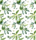 Avocado. Seamless pattern. Watercolor hand drawing illustration