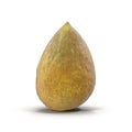 Avocado Seed Isolated on White Background 3D Illustration
