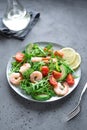 Avocado Shrimp Salad Royalty Free Stock Photo