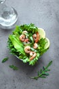 Avocado Shrimp Salad Royalty Free Stock Photo