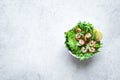 Avocado Shrimp Salad Royalty Free Stock Photo