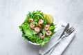 Avocado Shrimp Salad Royalty Free Stock Photo