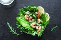 Avocado Shrimp Salad Royalty Free Stock Photo