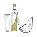 Avocado slices bottle oil cream vector illustration. Avocado fruit ripe part. Glass container black outline graphic Royalty Free Stock Photo