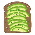 Avocado slices on dark rye toast bread. Delicious avocado sandwich. Vector illustration.