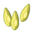 Avocado slices isolated on white background, realistic vector illustration. Peeled and cut into pieces avocados Royalty Free Stock Photo