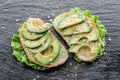 Avocado sandvishes. Top view. Royalty Free Stock Photo
