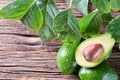 Avocado split in half on old wooden table with free space for your text. Royalty Free Stock Photo