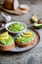 Avocado spread with garlic on wholewheat slice of bread Royalty Free Stock Photo