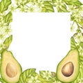 Avocado square frame. Fruit half with seed core, sliced pieces, green leaves, flowers. Botanical vegetable clipart. Hand