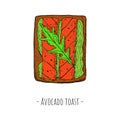 Avocado toast with fish slices and arugula leaf. Top view. Vector