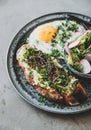 Avocado toast, fried egg and salad with radish Royalty Free Stock Photo