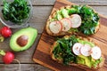 Avocado toast with kale and radish over rustic wood Royalty Free Stock Photo