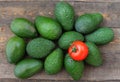 Avocado and tomato Royalty Free Stock Photo