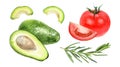 Avocado tomato rosemary set watercolor isolated on white background Royalty Free Stock Photo