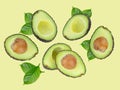Avocado top vview isolated on green background Royalty Free Stock Photo