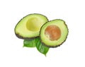 Avocado top vview isolated on white background Royalty Free Stock Photo