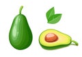 Avocado. Tropical exotic fruit.