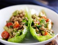 Avocado turkey lettuce wraps Royalty Free Stock Photo