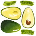 Watercolor Whole and half avocado on white background.