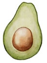 Avocado Watercolor illustration. Hand drawn clip art on isolated white background. Drawing of Half a Fruit with a seed Royalty Free Stock Photo