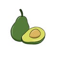 Avocado on a white background isolated. Vector illustration. Healthy fruit Royalty Free Stock Photo