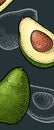 Avocado whole and half. Vector color and monochrome vintage engraving