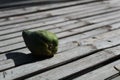 Avocado in A wooden plank