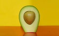 Avocado on yellow background. Healthy lifestyle. Food for vegetarians. Summer ingredients. Spring mood.