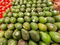 Avocados in the fresh produce aisle of a Publix grocery store