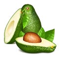 Avocados with leaves Royalty Free Stock Photo