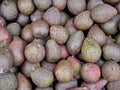 Avocados. A lot of ripe avocados in the market. Close up