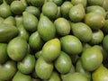 Avocados in a market.