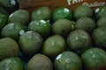 Avocados at the store