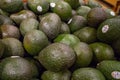 Avocados at the store