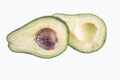 Avocatto on a white background