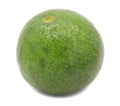 Avogado fruit isolated Royalty Free Stock Photo
